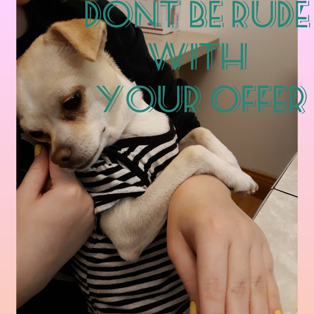 PLEASE don't be rude with offers! Making my dog 😢